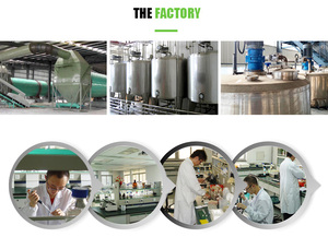 Metabisulfito de Sodio de Grado Industrial 97% Na2s2o5 Precio 25kg Grado Alimenticio Uso en Agricultura - Product Image 5