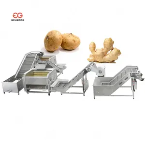 Gelgoog Suppliers Jicama Sugar Beet Potato Peeler Ginger Washing and Peeling Machine