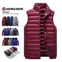 Vestes en duvet pour hommes en gros, vestes en duvet coupe-vent pour le sport, vestes en duvet matelassées avec logo personnalisé