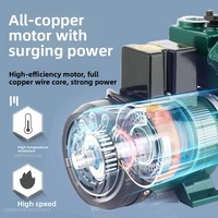 Pompe de surpression automatique domestique en fonte pour climatisation et pressurisation des conduites d'eau 220V