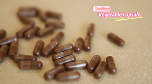 Bột Nấm Sư Tử hữu cơ Hericium Erinaceus, thực phẩm bổ sung tự nhiên chay, chiết xuất nấm Linh Chi - Product Image 2