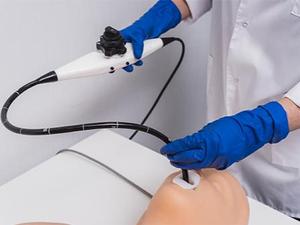 MEDVISION SONOVision Simulador de Entrenamiento con Modelo Anatómico de <span class=keywords><strong>Ciencia</strong></span> Médica de Silicona - Product Image 6