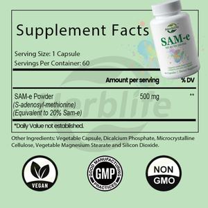 Suplemento SAM-e de Marca Privada OEM ODM, Cápsulas de S-Adenosil-L-Metionina de 500 mg para el Apoyo del Cerebro, el Hígado y el Estado de Ánimo - Product Image 2