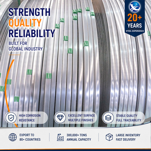 เหล็กสแตนเลสเกรดพรีเมียม ได้รับการรับรองมาตรฐาน ISO สำหรับงานเชื่อม 316L ป้องกันรอยนิ้วมือ หนา 0.8 มม. ขนาด 1219 มม. ความยาวภายใน 508 มม. มาตรฐาน ASTM A240 แบบม้วน - Product Image 1