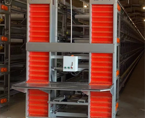 Neue H Geflügelzuchtausrüstung Hochwertiges Automatisches Eiersammelsystem Präzise Temperaturkontrolle für Hühner-Legehennenkäfige - Product Image 2