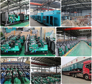 Generador Industrial Silencioso de 250 kVA y 200 kW |   Generador Trifásico Insonorizado de Alta Resistencia para Proyectos Industriales LT-250KVA-200KW - Product Image 2