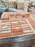 Briques réfractaires frittées minces de briques d'argile naturelle rouge antique solide pour la bordure traditionnelle de maison et de jardin