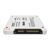 Disque SSD Goldenfir blanc/noir SATA3 1 To avec puce sélectionnée et vitesse de transmission rapide
