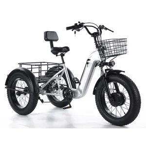 3 पहियों बिजली कार्गो tricycle 800w लंबी दूरी वयस्क बिजली tricycle वयस्कों के लिए वसा टायर 20 इंच बिजली trikes