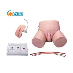 医療トレーニング用の安価な電子式男性/女性尿道カテーテル挿入および浣腸モデル、ISO認証取得済み - Product Image 1