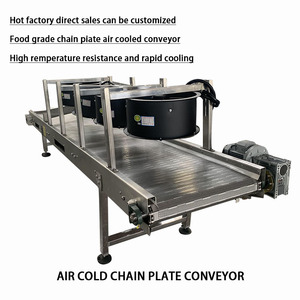 Customizable Wear-resistant <strong>Mini</strong> Stainless Steel 304 Chain Plate for Nut Drying and Cooling, Chain Plate Assembly Line <strong>Conveyor</strong> - Product Image 2