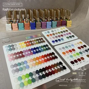 DUDU MISS Wholesale 60 Colors Professional High Quality Gel Nail Polish Set Pivate Label Nail Art Wholesale Gel Colour Polish
