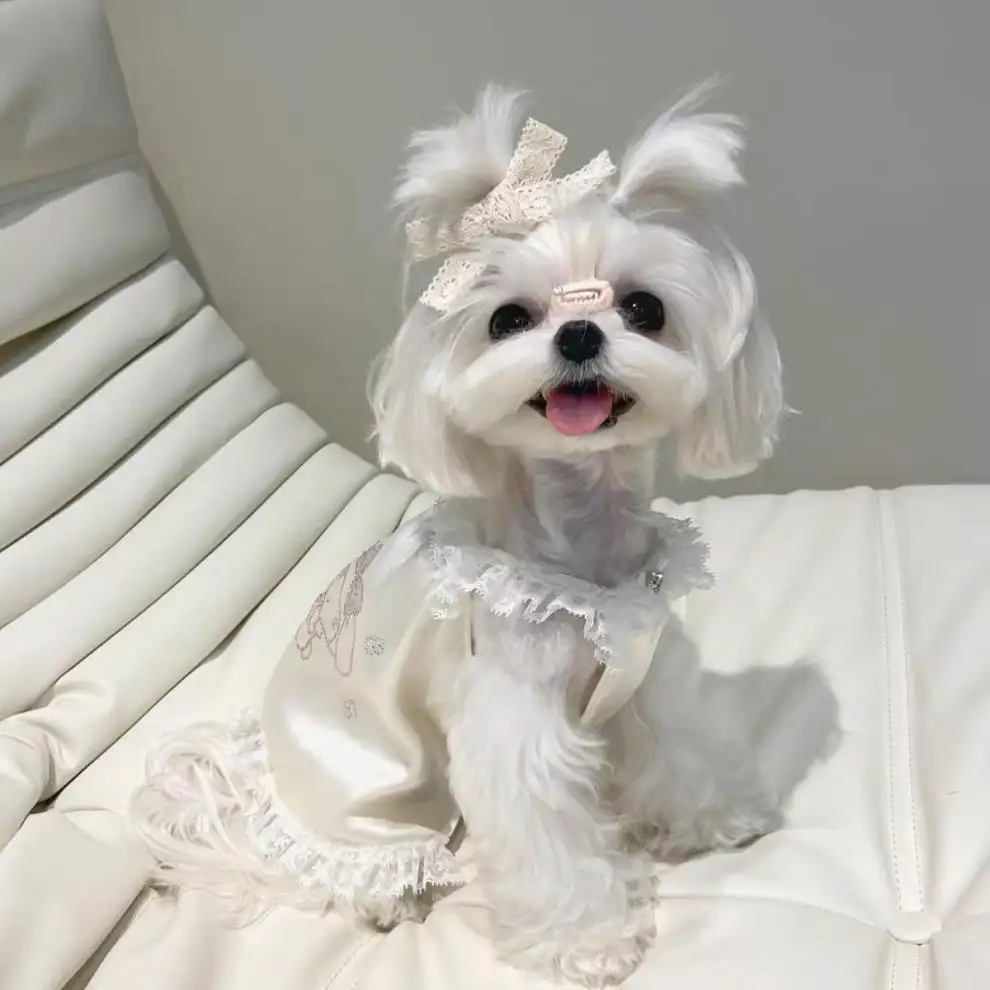 犬のパジャマサスペンダースカートマルタヨークシャーピュアシルク犬のナイトドレスかわいい犬の服