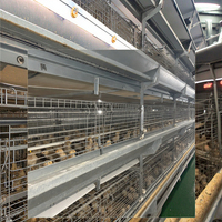 Système de cages automatiques pour poussins pondeuses d'un jour et poussins de chair de type H, en acier galvanisé à chaud, conception brevetée