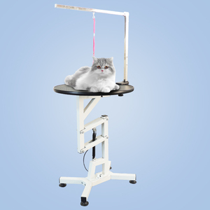 <span class=keywords><strong>Table</strong></span> de toilettage pour animaux de compagnie en acier inoxydable avec fonction de levage électrique, élimination des poils, alimentation rechargeable, conforme aux normes - Product Image 1