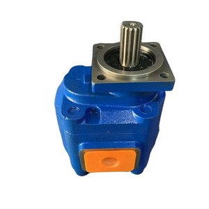 Bomba hidráulica de engranajes de 15 toneladas del fabricante Hansen, Hierro de alta calidad para suministros de lombrices de tierra para grúa cargadora varios - Product Image 4