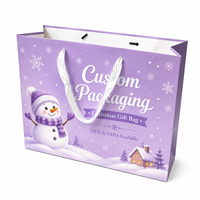 Sacs cadeaux en papier de luxe écologiques pour Noël, avec poignées à cordon, taille moyenne, promotion, vente en gros, emballage de détail