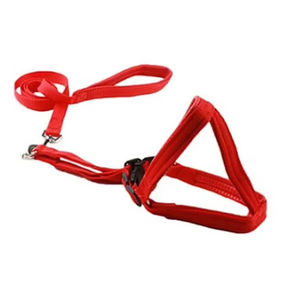 2025年 ホットベストセラー ジェントルリーダー ノープル ナイロン製 犬用首輪とリードセット トレーニング用-ファッショナブルスタイル - Product Image 3