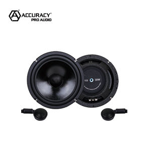 Précision Pro Audio YL650 Haut-parleur intelligent <span class=keywords><strong>Caisson</strong></span> <span class=keywords><strong>de</strong></span> basses <span class=keywords><strong>compact</strong></span> 80Hz - 22kHz Réponse en fréquence Haut-parleurs audio <span class=keywords><strong>de</strong></span> <span class=keywords><strong>voiture</strong></span> - Product Image 4