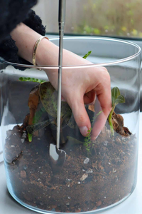 Kit di Manutenzione per Terrari Fai-da-Te, Set di Attrezzi in Acciaio Inox per Piante Succulente e Muschio, Strumenti per Giardinaggio Indoor - Product Image 4