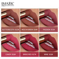 IMAGIC Vente en gros de rouge à lèvres mat velours, couleurs riches, tenue longue durée, imperméable, non collant, pour les distributeurs IMAGIC