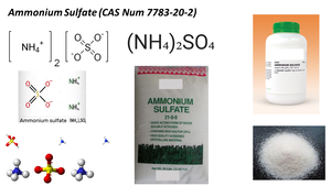 Fertilizzante al Solfato di Ammonio in Bulk, Fonte di Azoto e Zolfo di Alta Qualità per Grano, Mais, Riso e Colture Vegetali - Product Image 5