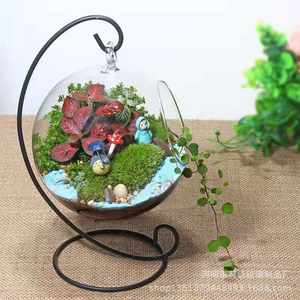 Planta suculenta de musgo Circular Micro paisaje decorativo colgante ecológico florero de vidrio transparente macetas maceta - Product Image 2