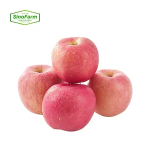 Pommes Fuji rouges Fruits croquants doux Pommes vertes Prix de gros Exportation