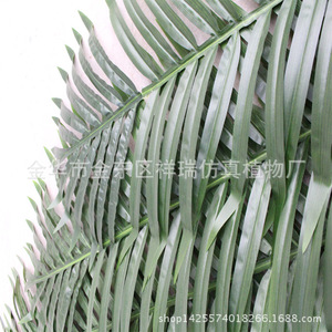 Hoja de coco verde <span class=keywords><strong>tropical</strong></span> simulada Falcé Hoja de girasol falsa Hoja de cola dispersa - Product Image 5