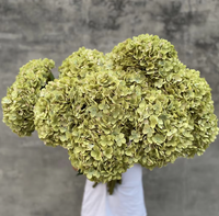 Flor Artificial de Hortensia Blanca Grande de 30 cm de Diámetro, Venta al por Mayor de Flores LUYI Chermy