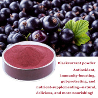 100% puur natuurlijk gedroogd zwarte bessen fruitpoeder, rauw zwarte bessen extract zonder toevoegingen, plantenextract