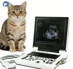 Draagbaar digitaal <span class=keywords><strong>Doppler</strong></span>-echoscopie systeem voor dierenartsen, kleuren-<span class=keywords><strong>Doppler</strong></span> bewakingsapparatuur - Product Image 6