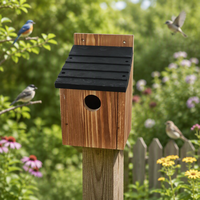 Nichoir mural en bois carbonisé écologique de différentes couleurs, résistant aux intempéries, pour oiseaux d'extérieur - Vente en gros