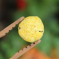 Chrysanthème en soie dorée du Yunnan Dianhong, Hortensia, Pur produit artisanal