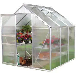 Factory direct price custom outdoor green house,fruit vegetable tunnel green house,China polycarbonate green house