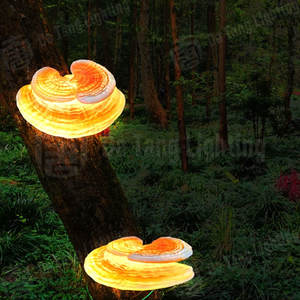 Luz Decorativa de FRP con Doble Ganoderma para Montar en Árboles, para Jardín Exterior, Parque y Decoración de Paisajes - Product Image 5