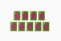 Jeu de Mahjong de Voyage de Luxe en Acrylique Gravé, Style Rummy, Série Plantes à Motifs Naturels, Tuiles de Mahjong Américaines Modernes