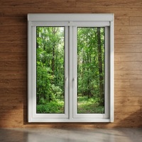 Fenêtres à battants en PVC/UPVC à double vitrage de bonne qualité, sur mesure 36*72