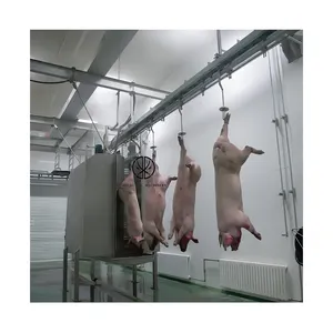 Simple Operation Butchery Pork Processing Machinery Swine Carcass Washing Machine Widely For Pig Slaughter Equipment