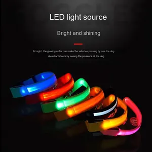 CHUUYU PET USB 충전 LED 애완 동물 분실 방지 개 목걸이 럭셔리 나일론 LED 야간 안전 깜박임 어두운 애완 동물 가죽 끈 - Product Image 2
