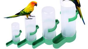 Plastik Pemberi Minum Burung Makanan Dispenser Air Kandang Pengumpan untuk Sparrow Parrorts <span class=keywords><strong>Budgie</strong></span> Cockatiel - Product Image 2