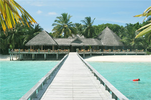 Papel Tapiz Moderno con Diseño Tropical de <span class=keywords><strong>Bungalows</strong></span> sobre el Agua, Decoración para el Hogar con Estilo Bora Bora, Resistente al Agua, Fácil Instalación, para Baño - Product Image 4