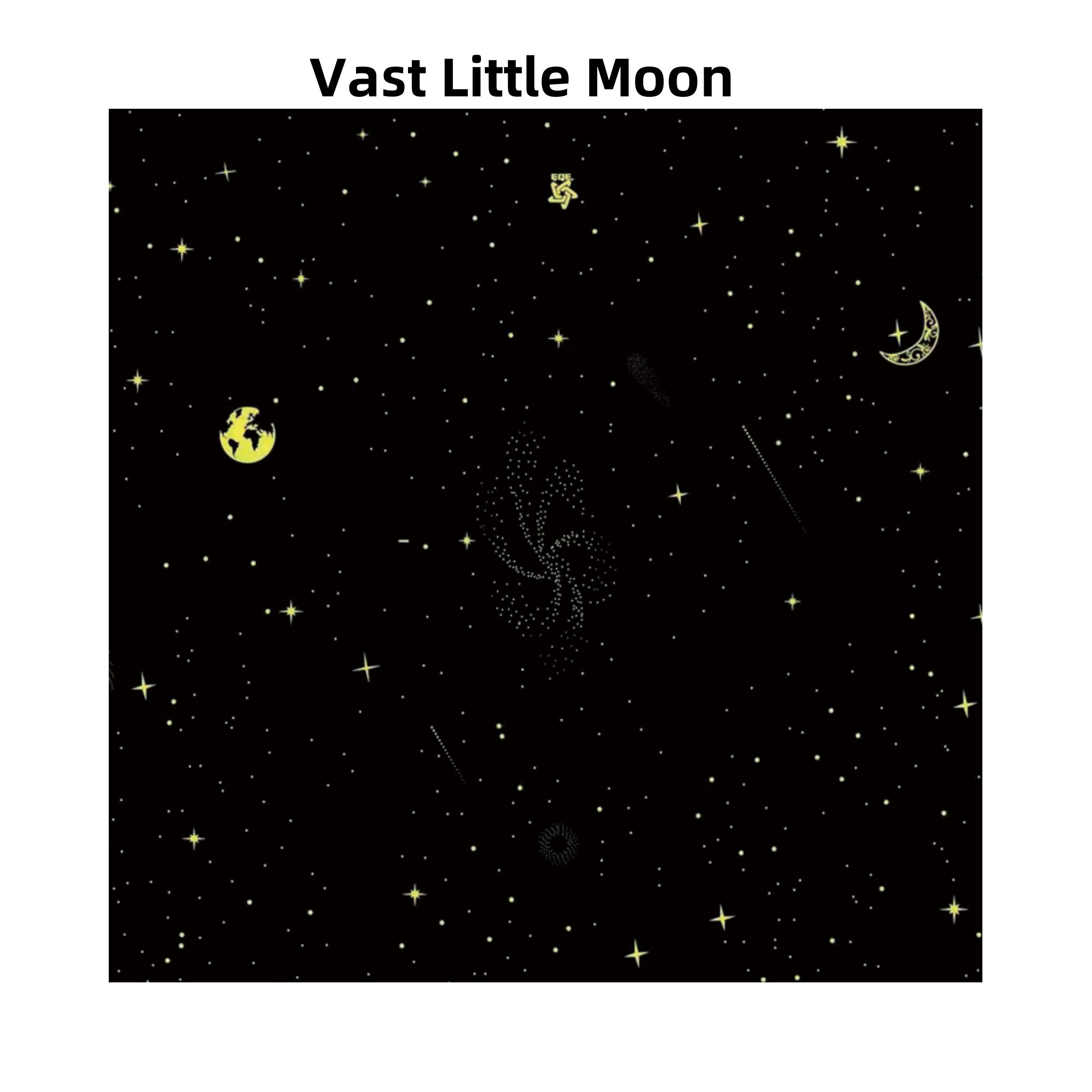 Vast Little Moon