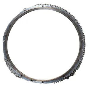 FAW sinotruck weichai motorenteile Schleifwheel Ringgetriebe 612600020208 1095020238