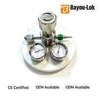 Régulateur de pression de gaz en acier inoxydable 316 pour hélium, azote, argon, oxygène, GPL, CO2, 1/4"NPT, 300 bar, régulateur de gaz haute pression
