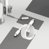 Câble de charge rapide USB Type-C blanc 2A Chargeur de 90 minutes pour téléphones Android Accessoires cellulaires de téléphone