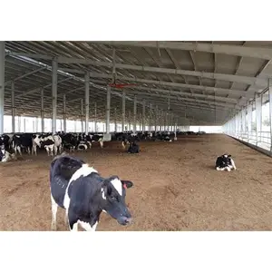 Struttura in acciaio prefabbricata della mucca della casa del pollame che costruisce il corridoio della fattoria della mucca per la progettazione delle aziende agricole