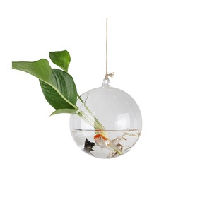 Macetas Colgantes Hidropónicas, <span class=keywords><strong>Botellas</strong></span> Colgantes Pequeñas de Vidrio Navideñas, <span class=keywords><strong>Botellas</strong></span> Colgantes Creativas para Plantas Verdes - Product Image 3
