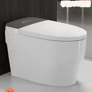 Modern Advance Floor Mounted Automatic Flush Wc Water Closet Intelligent Washdown Smart Toilet