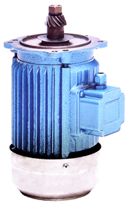 0,75 kW /1 PS 380 V Gusseisenohrmotor Hostmaschine für Beckengetriebe (Verkleinerung) und Motor für Aquakulturen Paddelräder Belüfter - Product Image 2